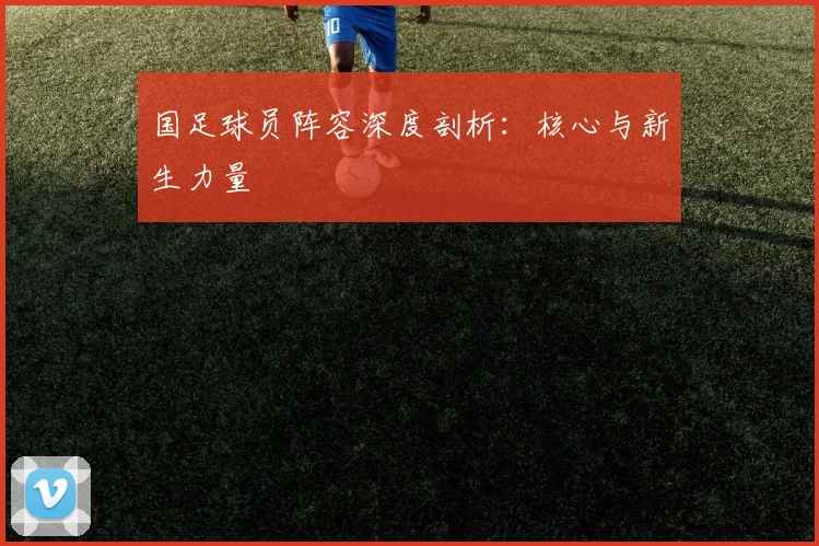 国足球员阵容深度剖析:核心与新生力量